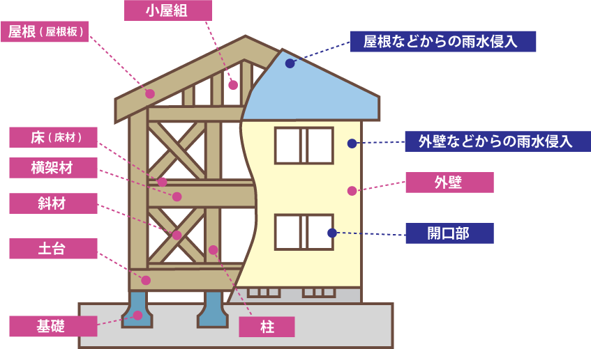 保険の対象となる基本構造部分